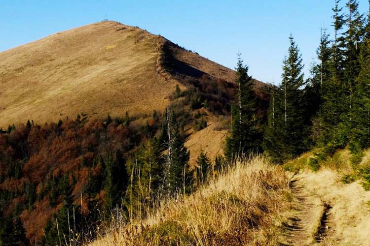 Парашка